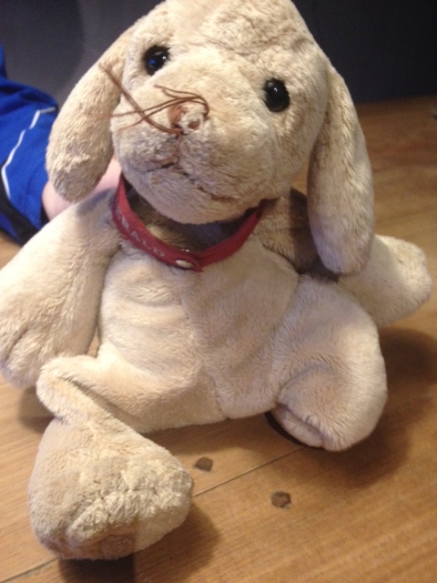 Knuffel gevonden op het schoolplein