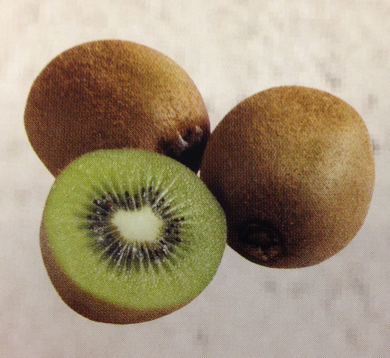 Kiwi stickers